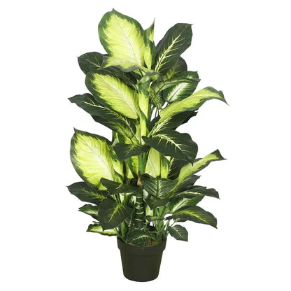 Stunning Faux Dieffenbachia