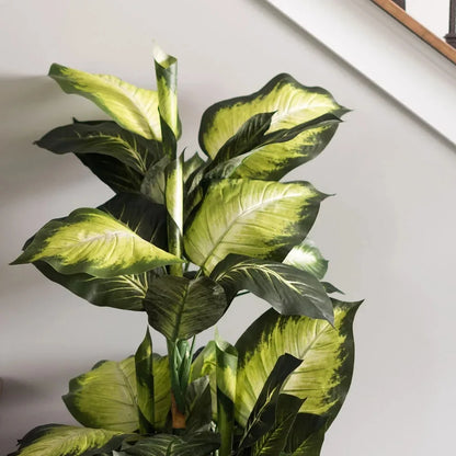 Stunning Faux Dieffenbachia