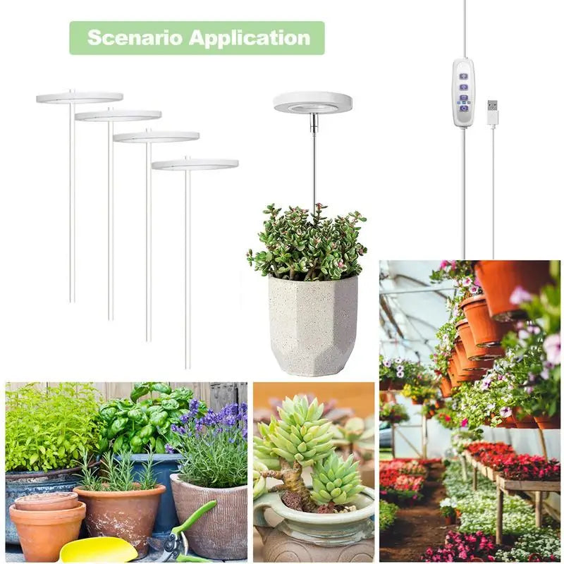 LED Phytolamp Indoor Grow Lights Full Spectrum Hydroponics Plant Lamp For Flower Seeds Cultivation 5V USB LED Growth Light