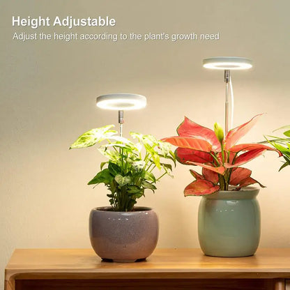 LED Phytolamp Indoor Grow Lights Full Spectrum Hydroponics Plant Lamp For Flower Seeds Cultivation 5V USB LED Growth Light